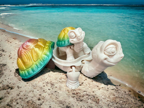 Flexible Schildkröte mit abnehmbarem Panzerdeckel