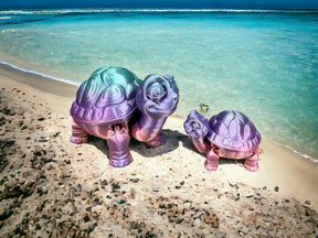 Flexible Schildkröte mit abnehmbarem Panzerdeckel